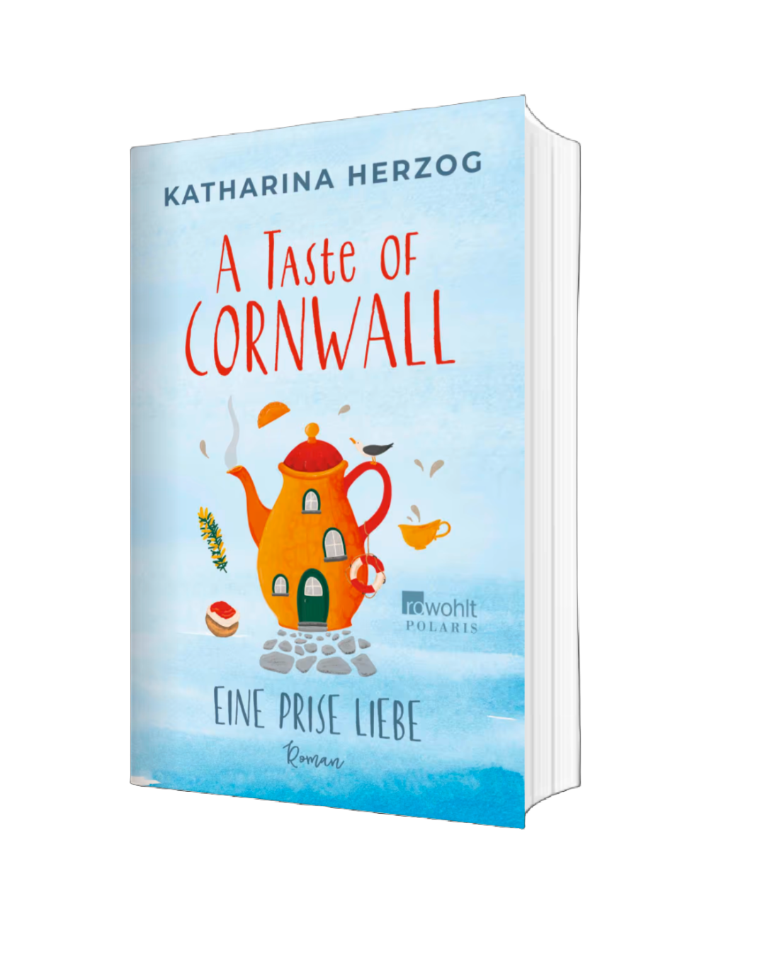 Dummy Taschenbuch transparent Taste of Cornwall
